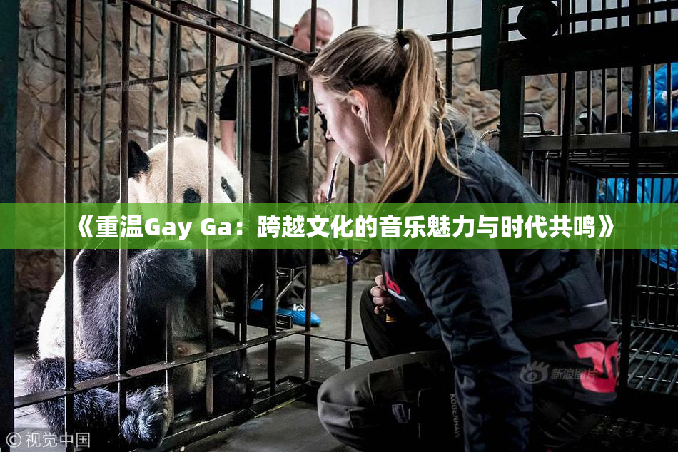 《重温Gay Ga：跨越文化的音乐魅力与时代共鸣》