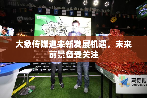 大象传媒迎来新发展机遇，未来前景备受关注