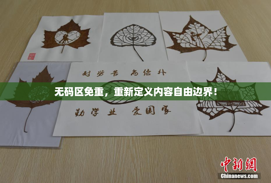 无码区免重，重新定义内容自由边界！