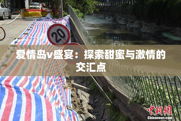 爱情岛v盛宴：探索甜蜜与激情的交汇点