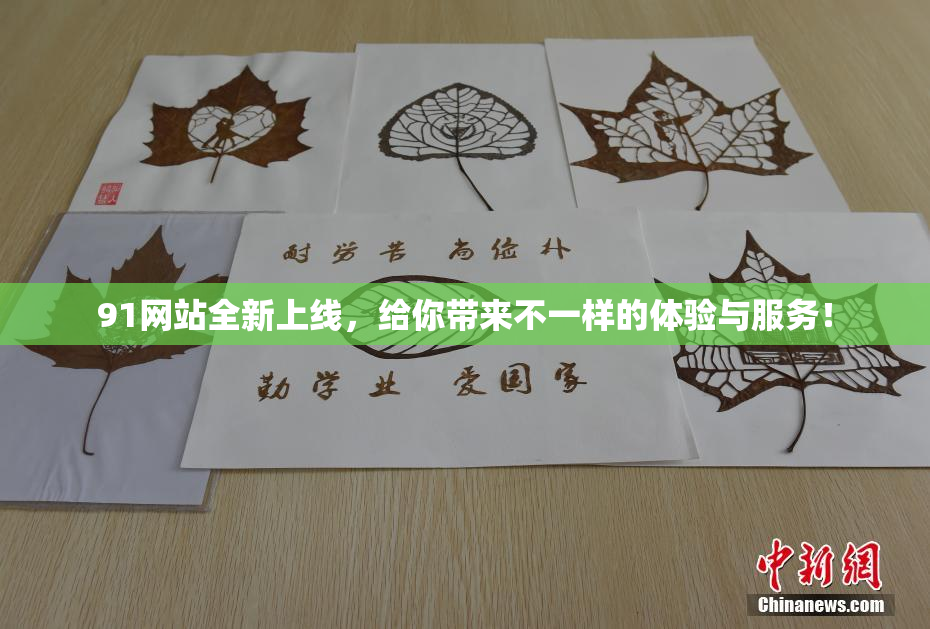 91网站全新上线，给你带来不一样的体验与服务！