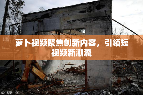 萝卜视频聚焦创新内容，引领短视频新潮流
