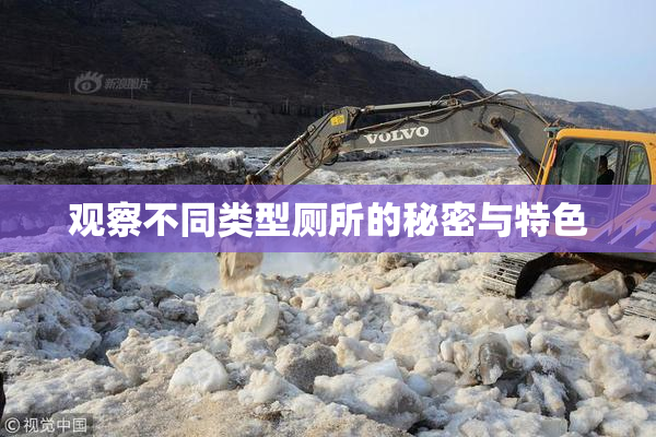 观察不同类型厕所的秘密与特色