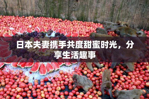 日本夫妻携手共度甜蜜时光，分享生活趣事