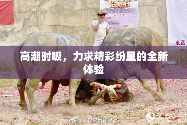 高潮时吸，力求精彩纷呈的全新体验