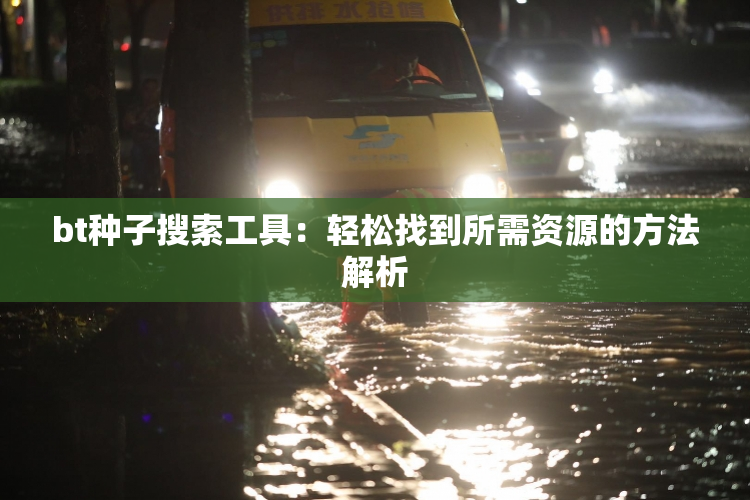 bt种子搜索工具：轻松找到所需资源的方法解析