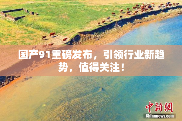 国产91重磅发布，引领行业新趋势，值得关注！