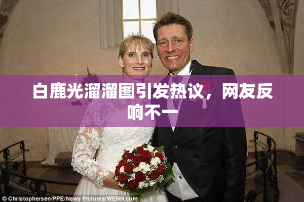 白鹿光溜溜图引发热议，网友反响不一