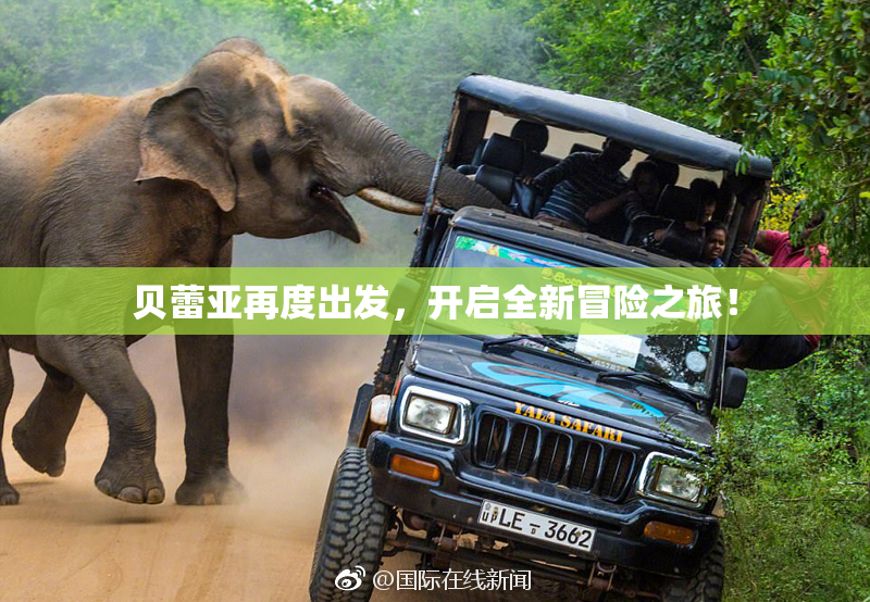 贝蕾亚再度出发，开启全新冒险之旅！