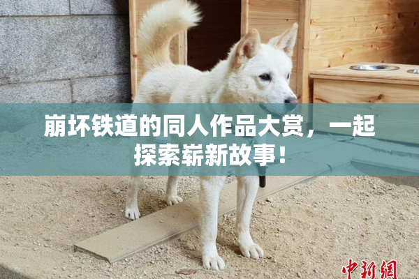 崩坏铁道的同人作品大赏，一起探索崭新故事！