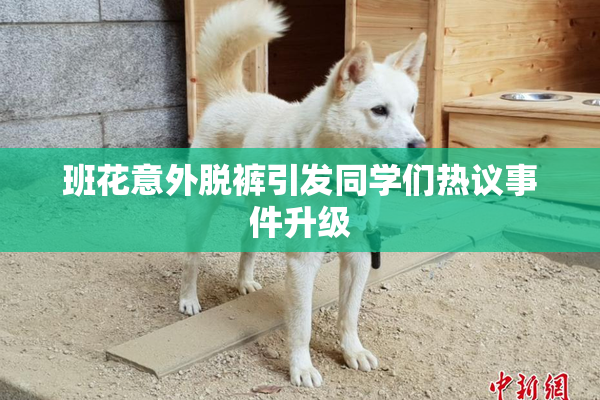 班花意外脱裤引发同学们热议事件升级