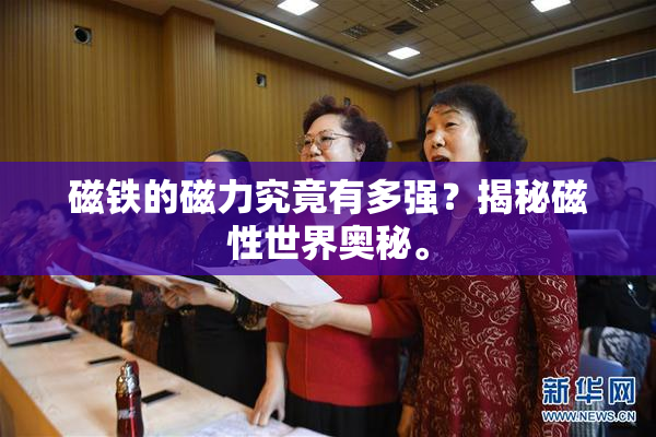 磁铁的磁力究竟有多强？揭秘磁性世界奥秘。