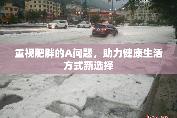 重视肥胖的A问题，助力健康生活方式新选择