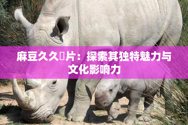 麻豆久久婬片：探索其独特魅力与文化影响力