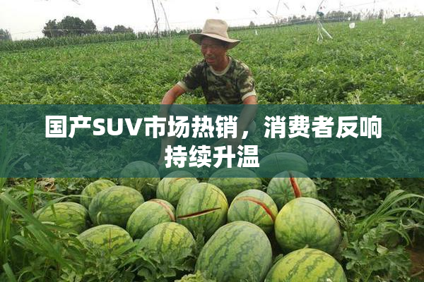 国产SUV市场热销，消费者反响持续升温