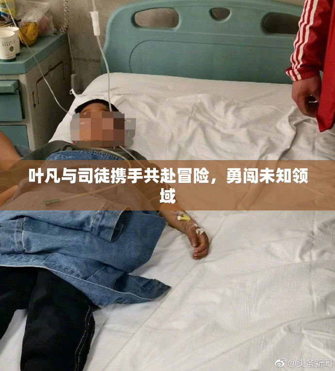 叶凡与司徒携手共赴冒险，勇闯未知领域