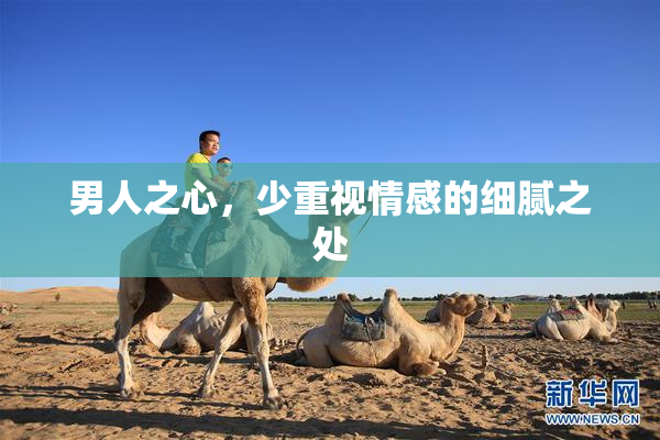 男人之心，少重视情感的细腻之处