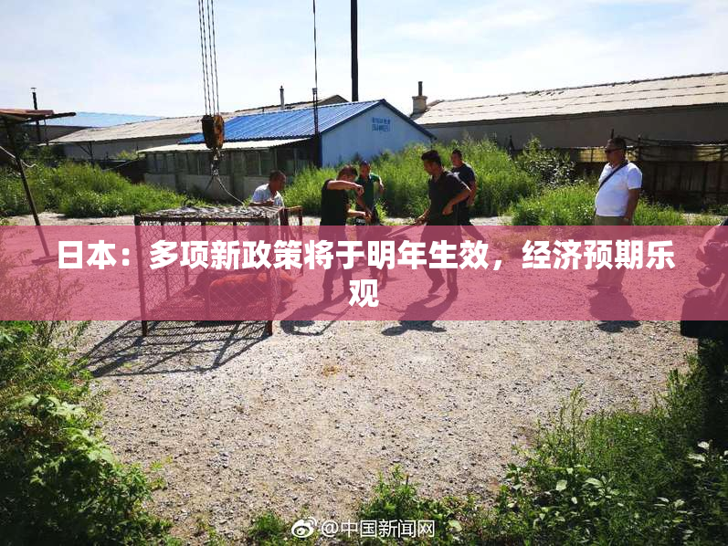 日本：多项新政策将于明年生效，经济预期乐观