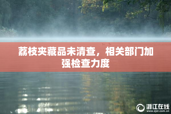 荔枝夹藏品未清查，相关部门加强检查力度