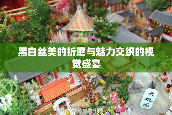 黑白丝美的折磨与魅力交织的视觉盛宴