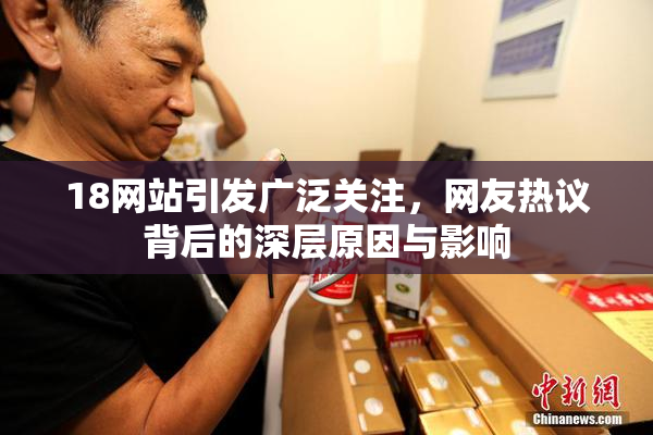18网站引发广泛关注，网友热议背后的深层原因与影响