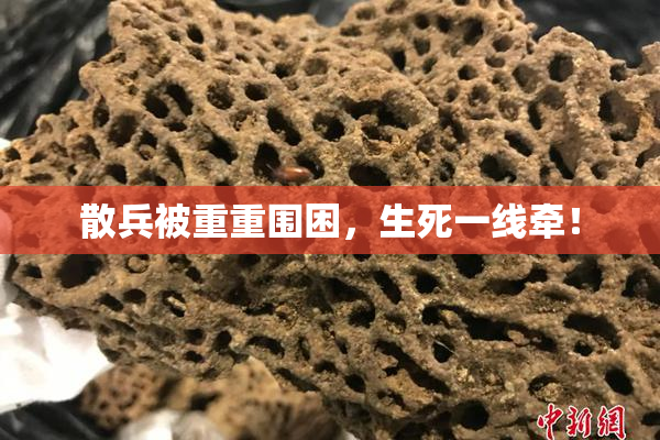 散兵被重重围困，生死一线牵！