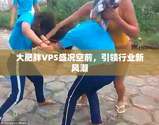 大肥胖VPS盛况空前，引领行业新风潮