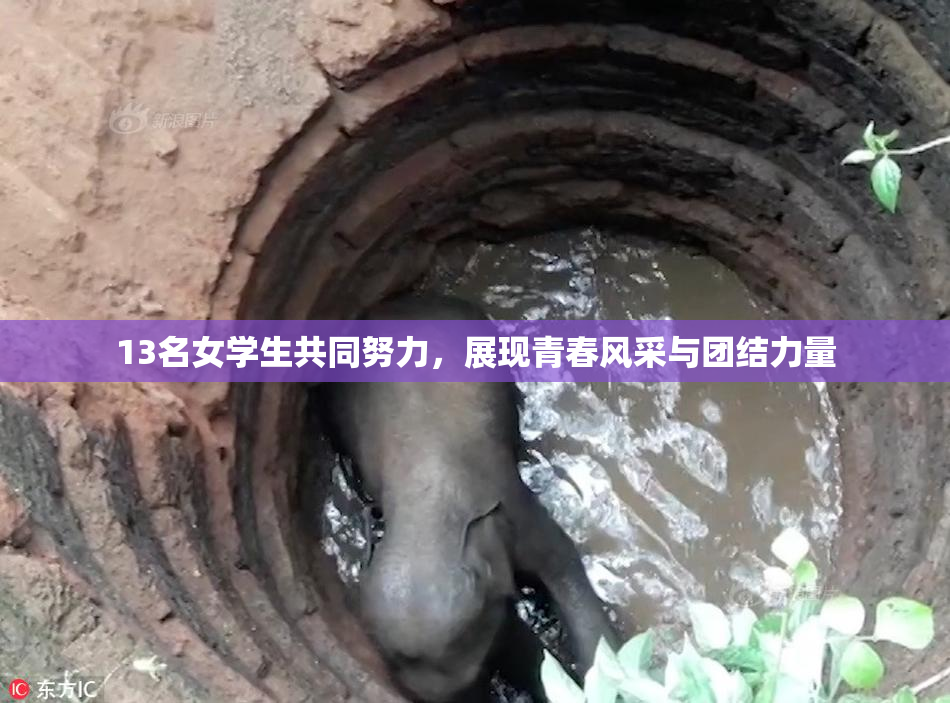 13名女学生共同努力，展现青春风采与团结力量