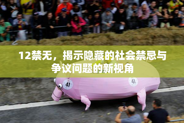 12禁无，揭示隐藏的社会禁忌与争议问题的新视角