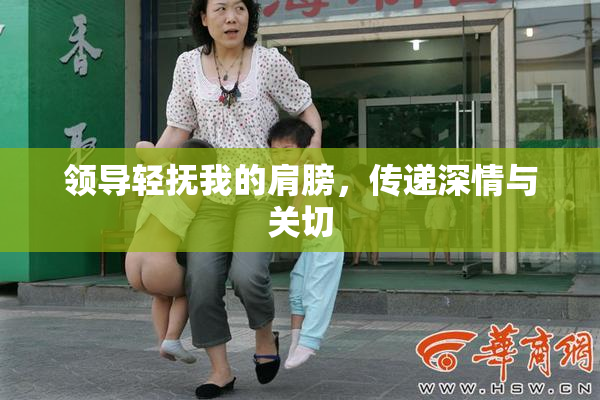 领导轻抚我的肩膀，传递深情与关切