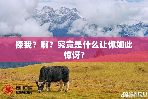 揉我？啊？究竟是什么让你如此惊讶？