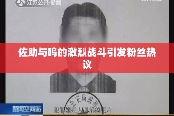 佐助与鸣的激烈战斗引发粉丝热议