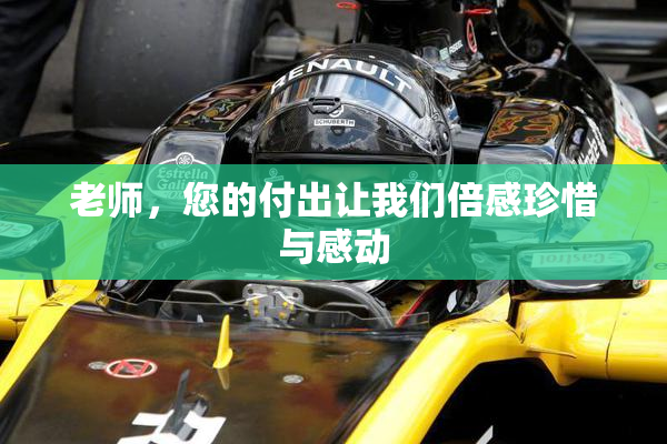 老师，您的付出让我们倍感珍惜与感动