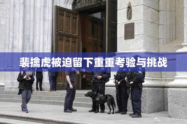 裴擒虎被迫留下重重考验与挑战