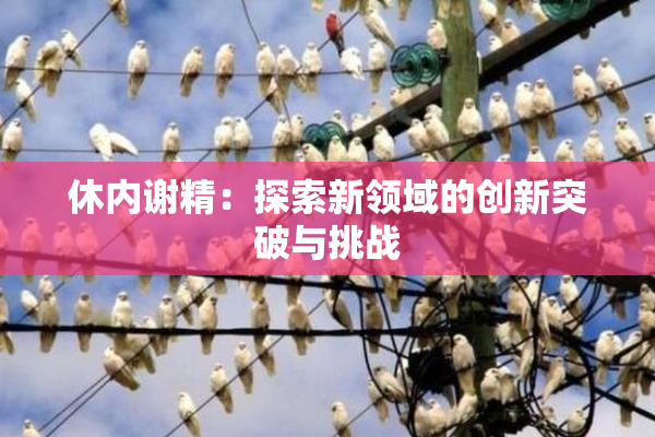 休内谢精：探索新领域的创新突破与挑战