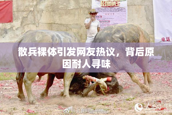 散兵裸体引发网友热议，背后原因耐人寻味