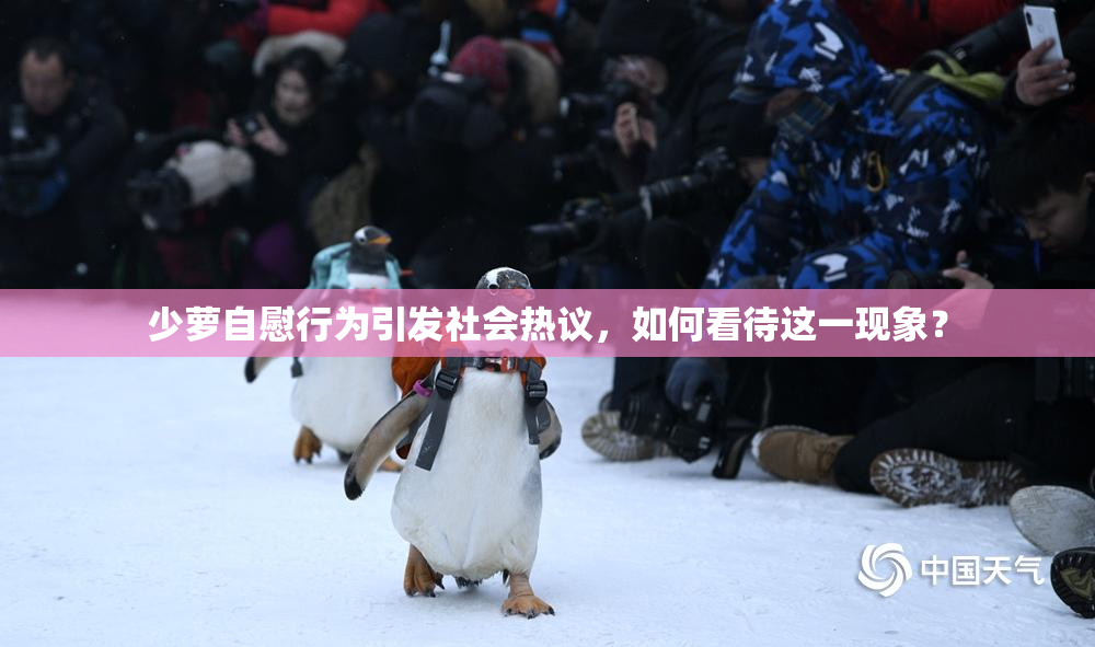 少萝自慰行为引发社会热议，如何看待这一现象？