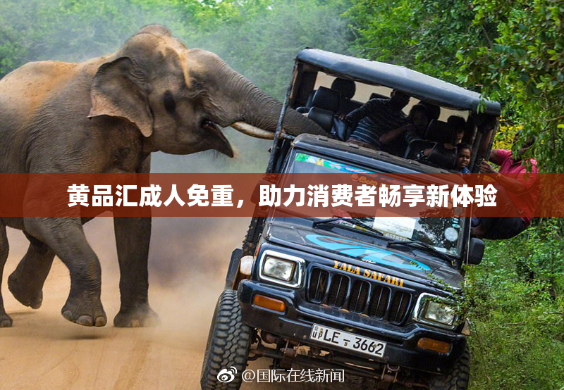 黄品汇成人免重，助力消费者畅享新体验