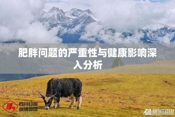 肥胖问题的严重性与健康影响深入分析