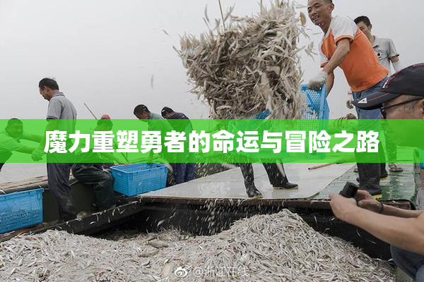 魔力重塑勇者的命运与冒险之路
