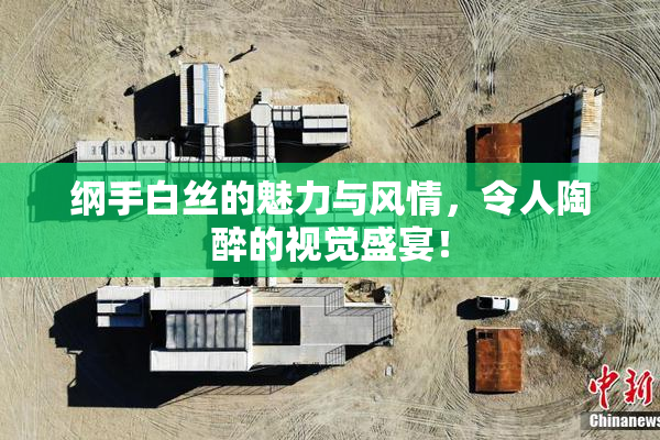 纲手白丝的魅力与风情，令人陶醉的视觉盛宴！