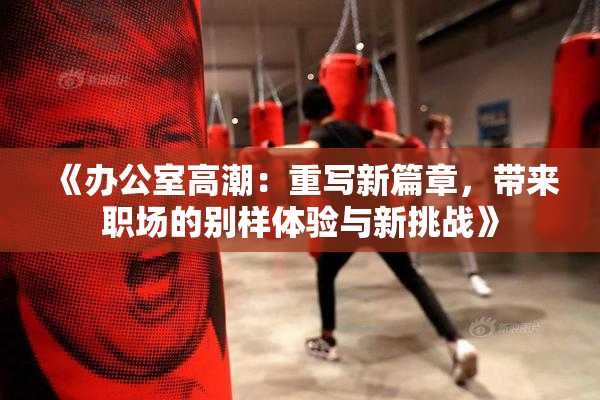 《办公室高潮：重写新篇章，带来职场的别样体验与新挑战》