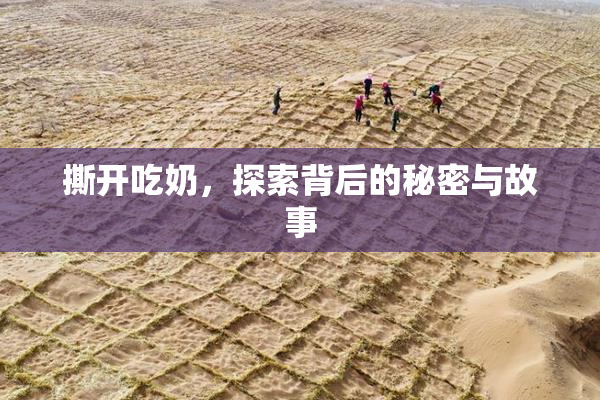 撕开吃奶，探索背后的秘密与故事