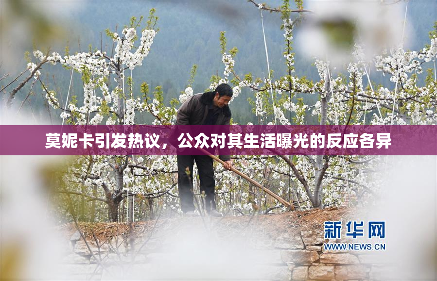 莫妮卡引发热议，公众对其生活曝光的反应各异