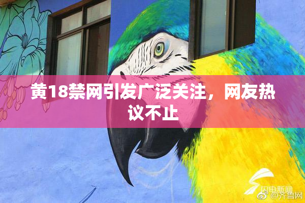黄18禁网引发广泛关注，网友热议不止