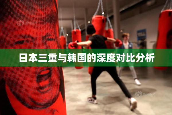 日本三重与韩国的深度对比分析
