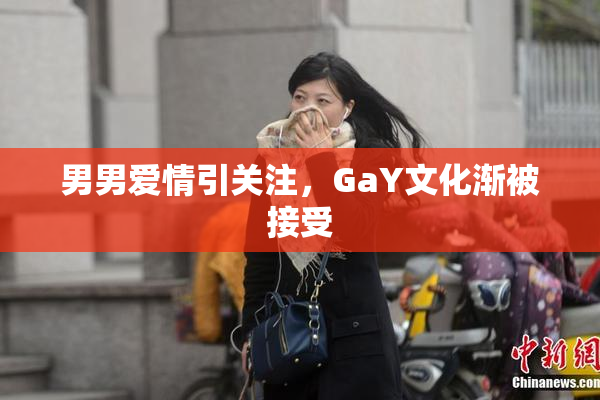 男男爱情引关注，GaY文化渐被接受