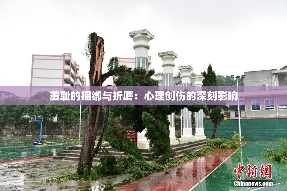 羞耻的捆绑与折磨：心理创伤的深刻影响