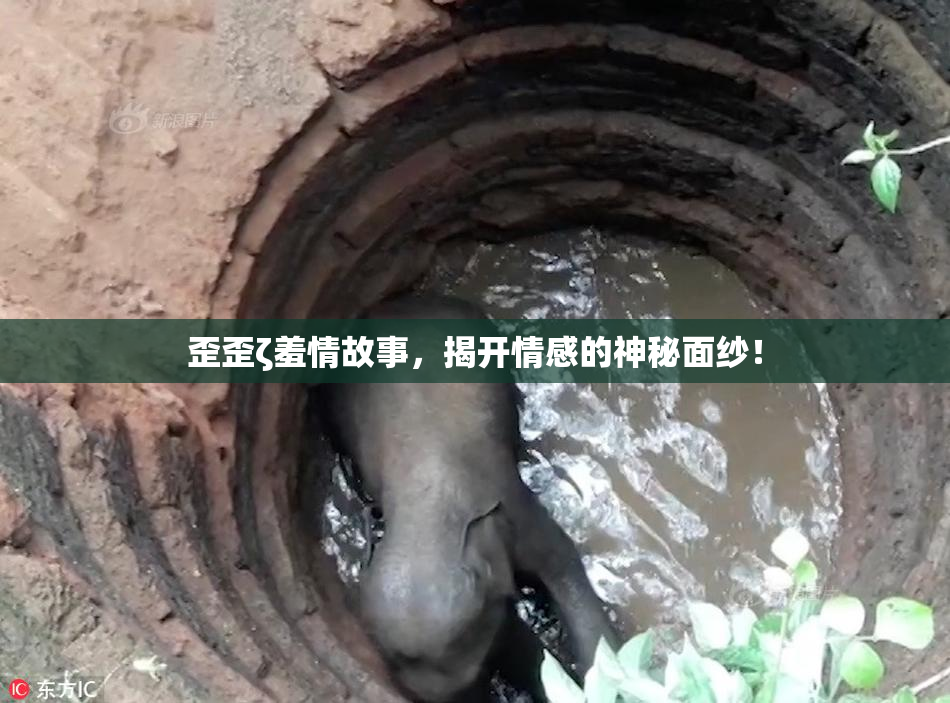 歪歪ζ羞情故事，揭开情感的神秘面纱！