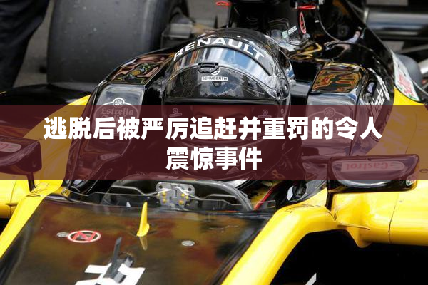 逃脱后被严厉追赶并重罚的令人震惊事件